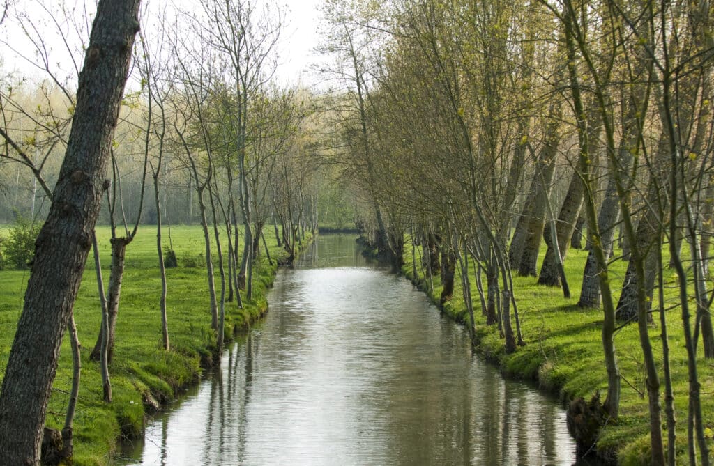 PARTENARIAT : 1 VÉHICULE FABRIQUÉ = 1 ARBRE PLANTÉ